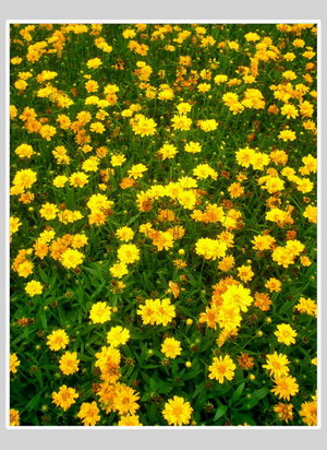 ��Ӱ��Ʒ�����������ң�