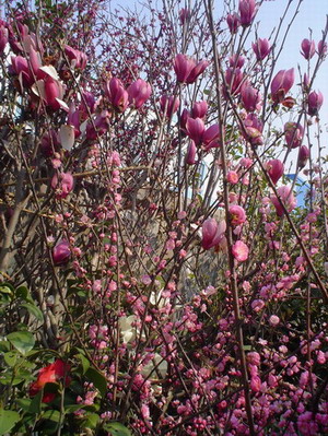 ��Ӱ��Ʒ�����������ң�