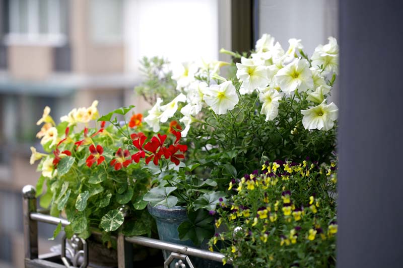 ��Ӱ��Ʒ�����������ң�