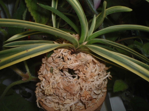 [ת��]��� ����  �����  Ҳ������ �ÿ��ķ���