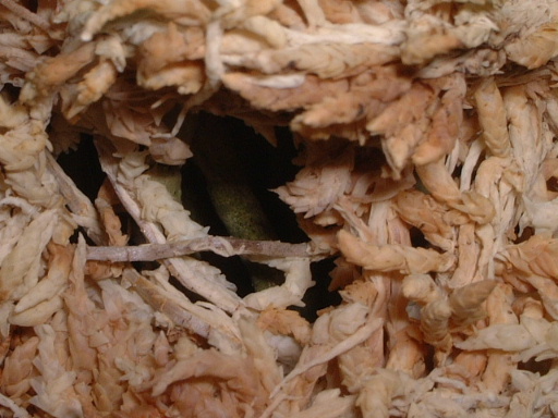 [ת��]��� ����  �����  Ҳ������ �ÿ��ķ���