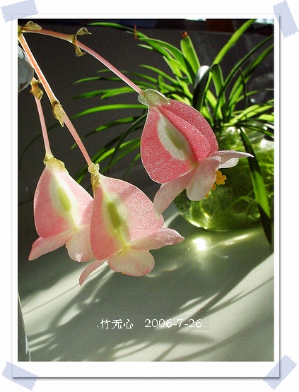 ���ȵ���������..P18,�¼���~