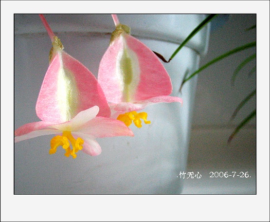 ���ȵ���������..P18,�¼���~