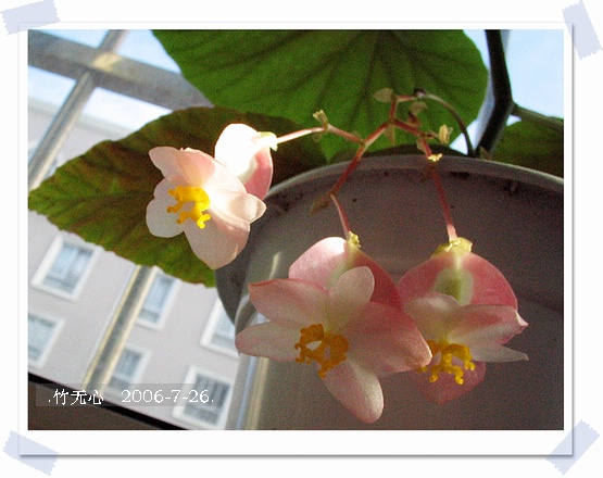 ���ȵ���������..P18,�¼���~