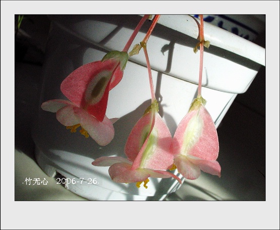 ���ȵ���������..P18,�¼���~