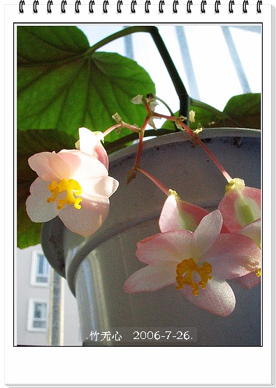 ���ȵ���������..P18,�¼���~