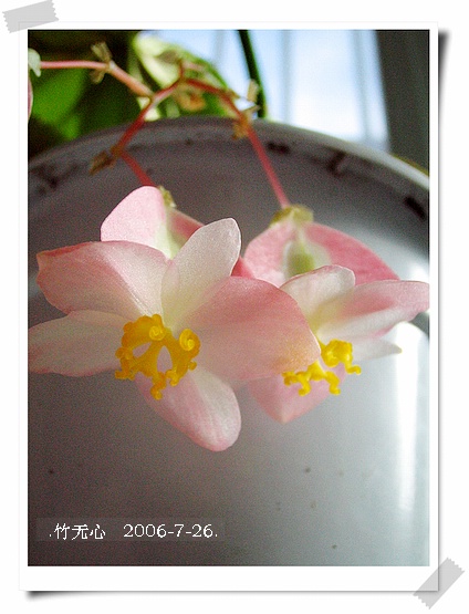 ���ȵ���������..P18,�¼���~