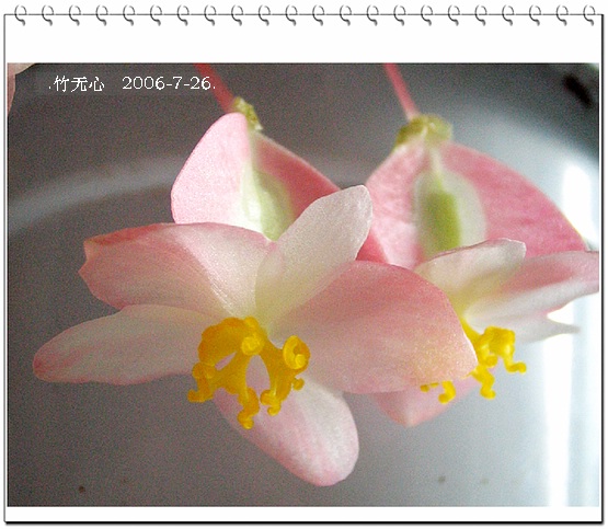 ���ȵ���������..P18,�¼���~