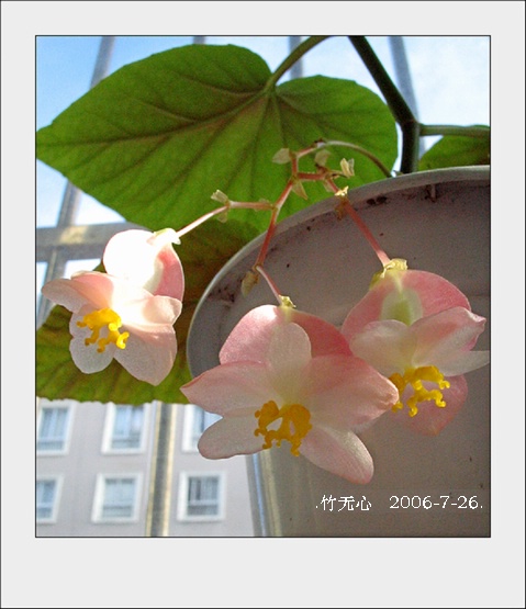 ���ȵ���������..P18,�¼���~