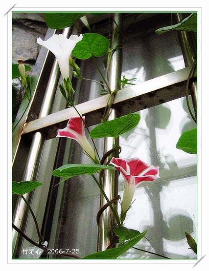 ���ȵ���������..P18,�¼���~