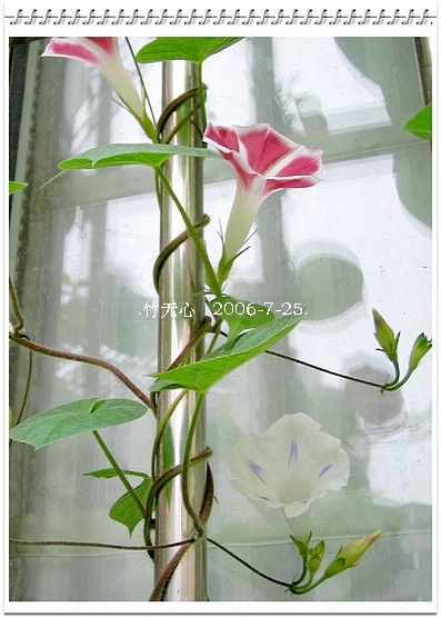 ���ȵ���������..P18,�¼���~