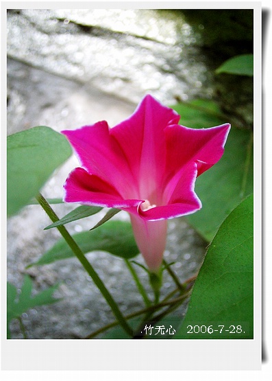 ���ȵ���������..P18,�¼���~