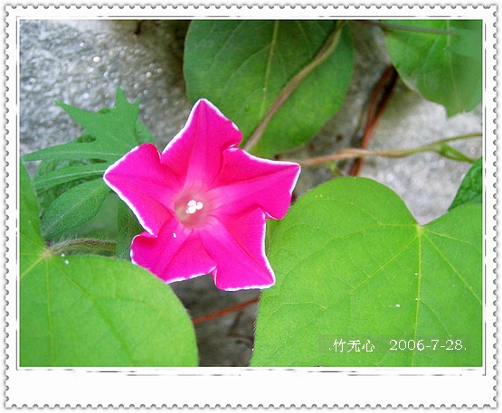 ���ȵ���������..P18,�¼���~