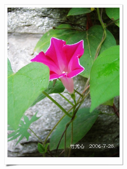 ���ȵ���������..P18,�¼���~