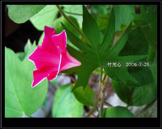 ���ȵ���������..P18,�¼���~