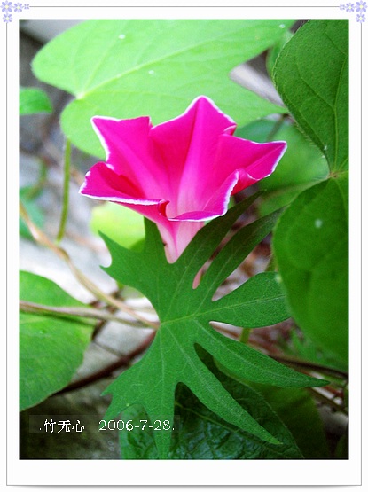 ���ȵ���������..P18,�¼���~