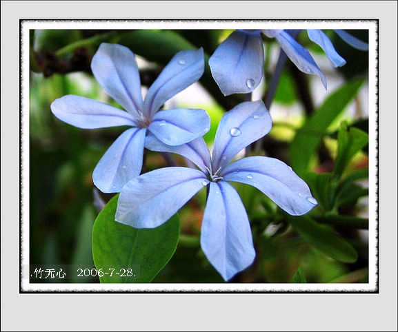 ���ȵ���������..P18,�¼���~