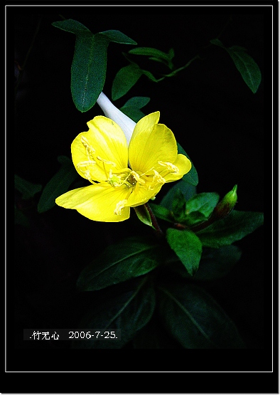 ���ȵ���������..P18,�¼���~