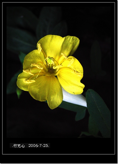 ���ȵ���������..P18,�¼���~