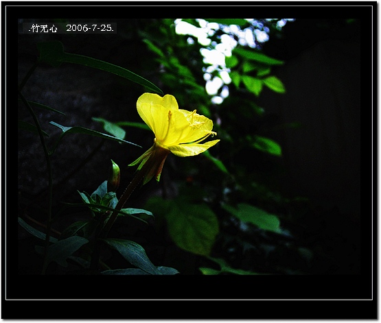 ���ȵ���������..P18,�¼���~