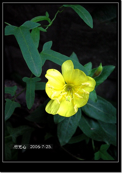 ���ȵ���������..P18,�¼���~