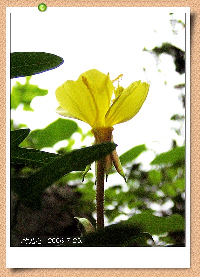 ���ȵ���������..P18,�¼���~