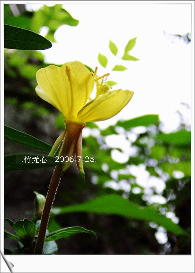 ���ȵ���������..P18,�¼���~