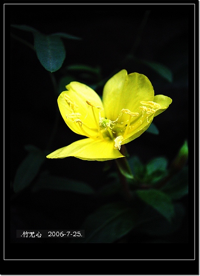 ���ȵ���������..P18,�¼���~