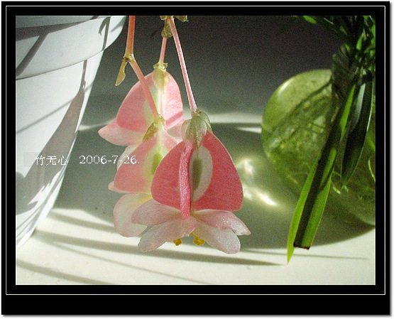 ���ȵ���������..P18,�¼���~