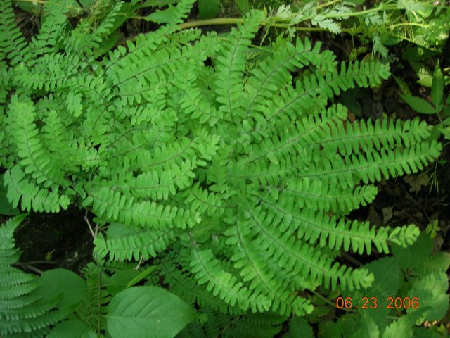 ���N�Nާ������