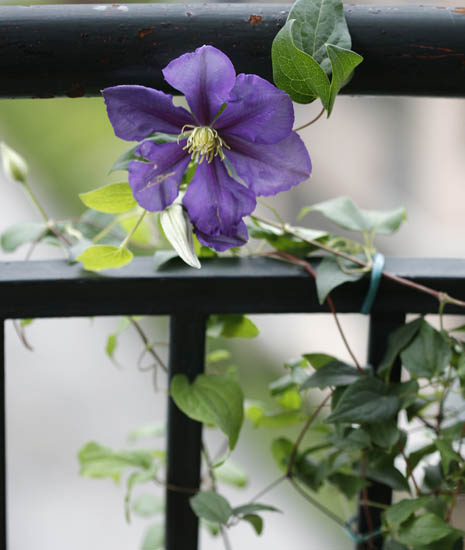 ��Ҳ������˽�һ�