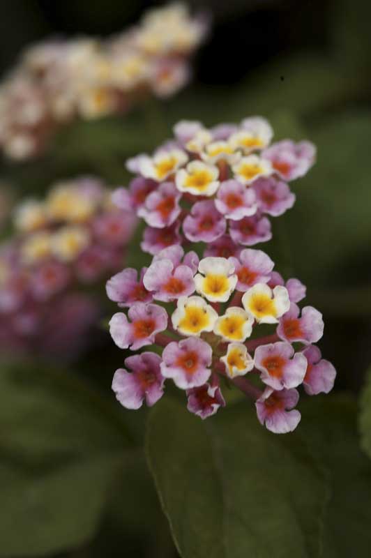 ��Ҳ������˽�һ�