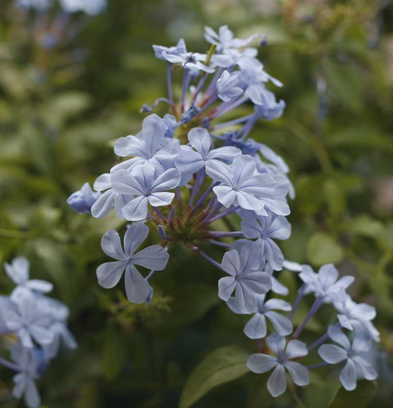 ��Ҳ������˽�һ�