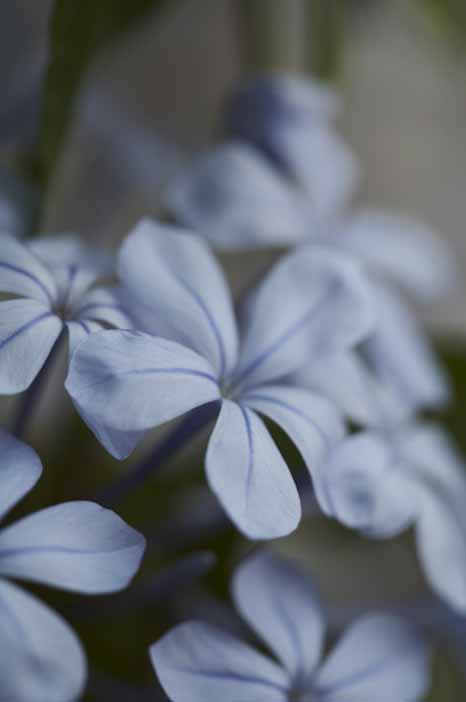 ��Ҳ������˽�һ�