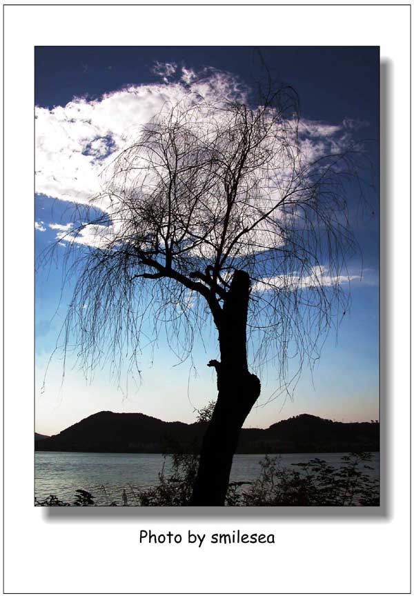 ��Ӱ��Ʒ�����������ң�