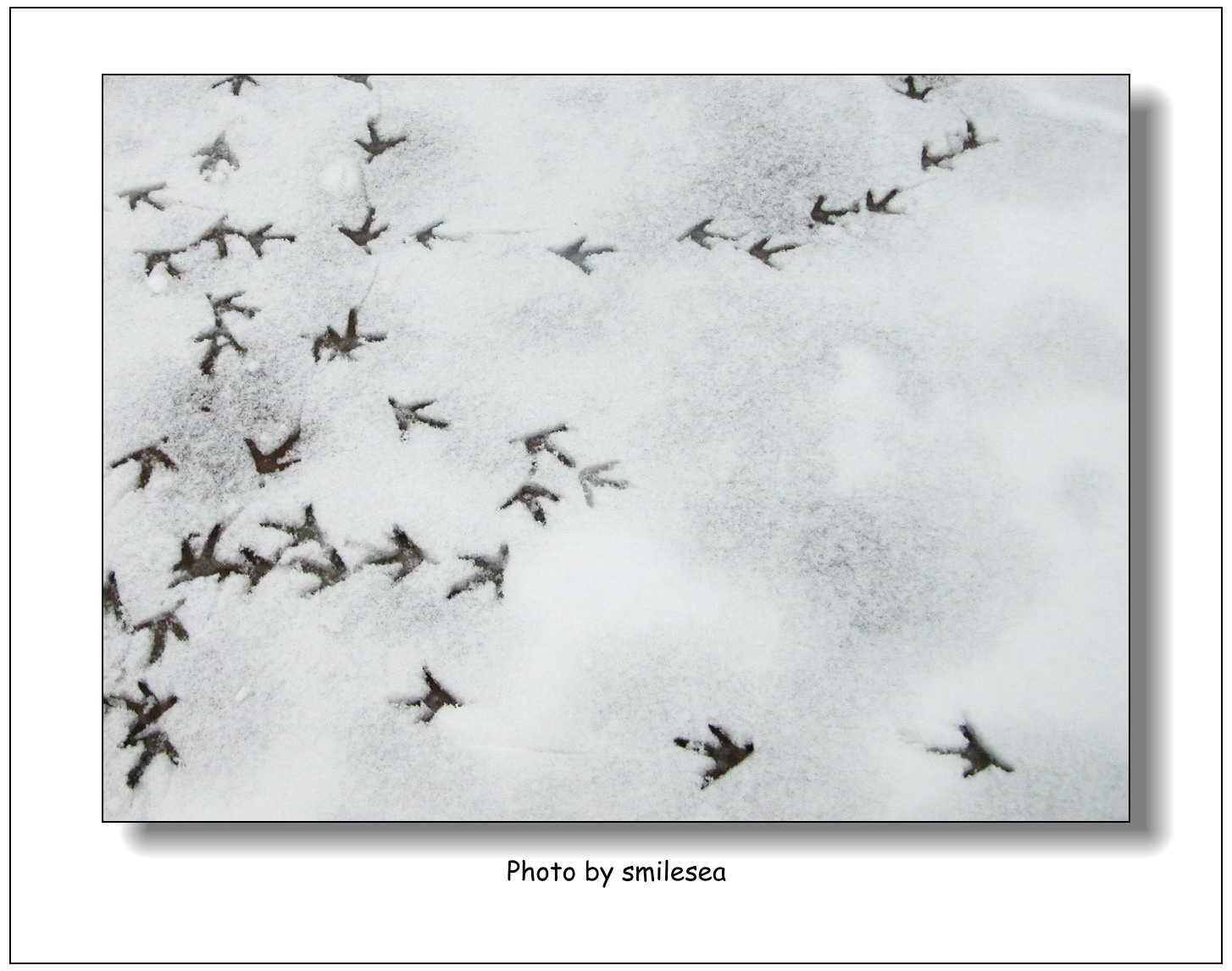 ��Ӱ��Ʒ�����������ң�