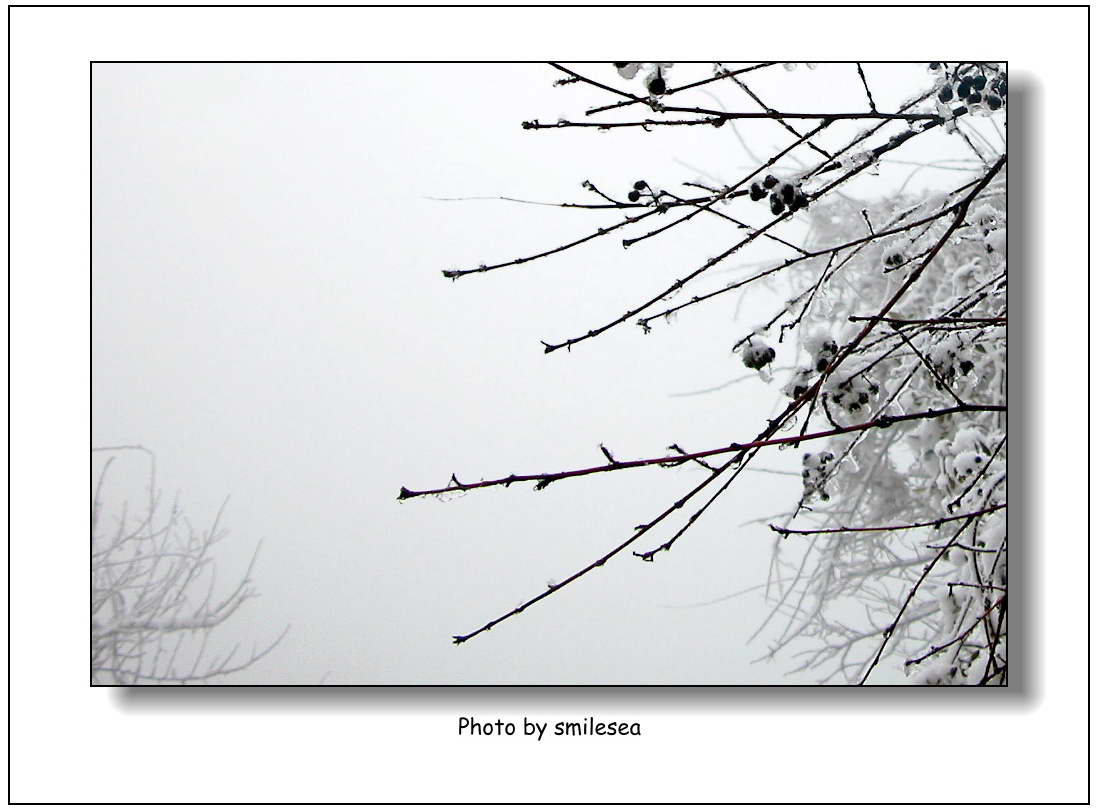 ��Ӱ��Ʒ�����������ң�