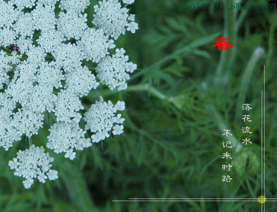 ��Ӱ��Ʒ�����������ң�