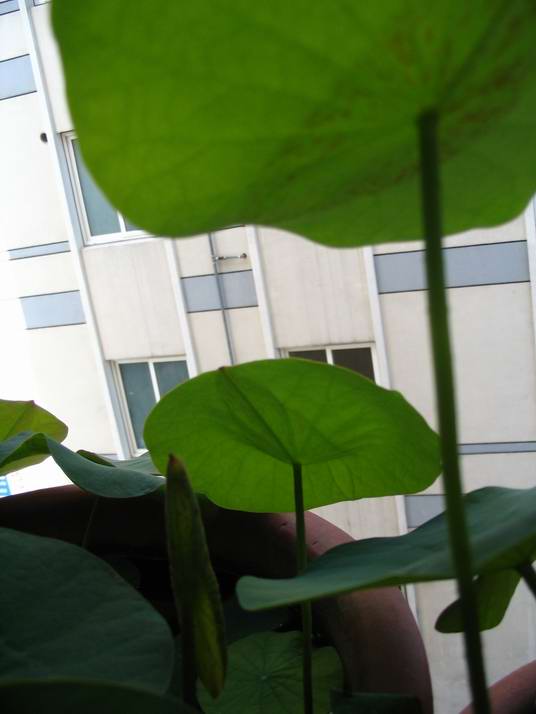 [����]��������Ĳ���֮����ʲô??