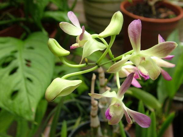 ż�Ļ���ż��Ժ��