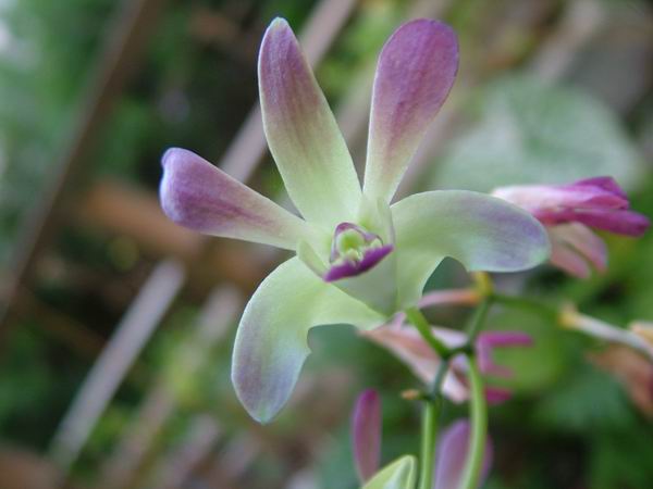 ż�Ļ���ż��Ժ��