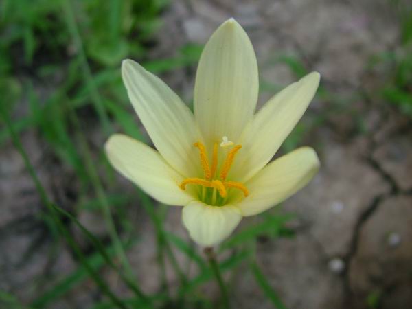 ż�Ļ���ż��Ժ��