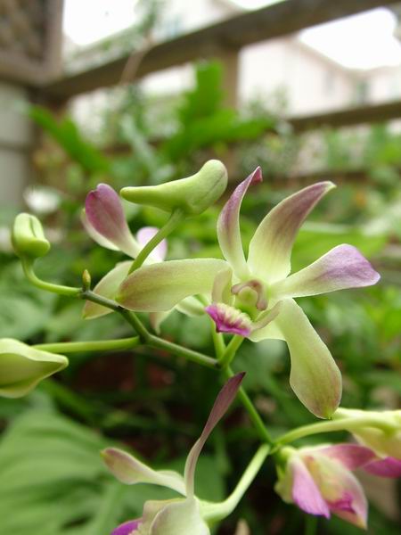 ż�Ļ���ż��Ժ��