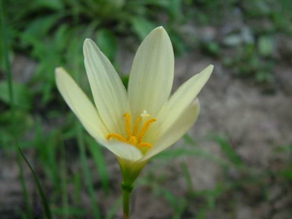 ż�Ļ���ż��Ժ��