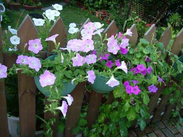 ż�Ļ���ż��Ժ��