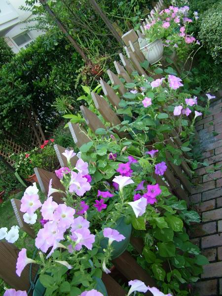 ż�Ļ���ż��Ժ��