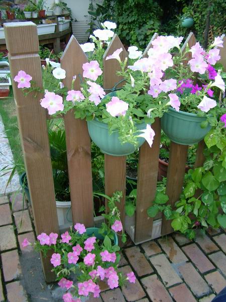 ż�Ļ���ż��Ժ��