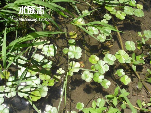 ���N�Nާ������