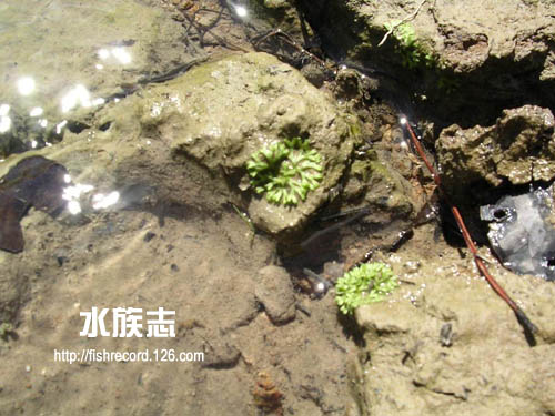 ���N�Nާ������