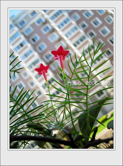 ���ȵ���������..P20,��۹�ţ;P18,�¼���~